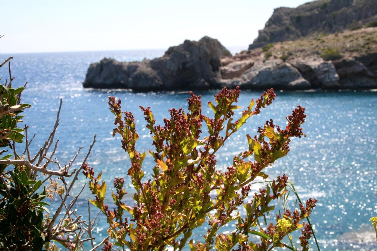 Agios Pavlos Hotel エクステリア 写真